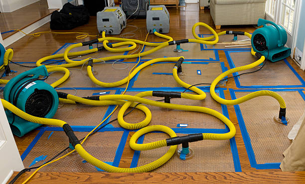 Professional Basement Flood Cleanup technician working in Blounts Creek, NC